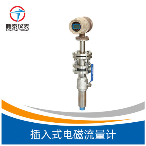 插入式電磁流量計(jì) 插入式電磁流量計(jì)