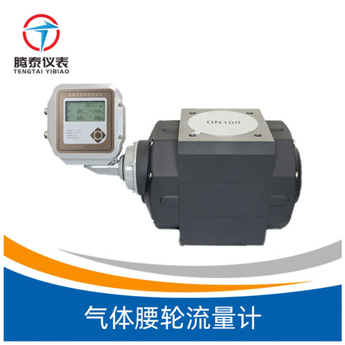 <b>氣體腰輪流量計</b> <b>氣體腰輪流量計</b>