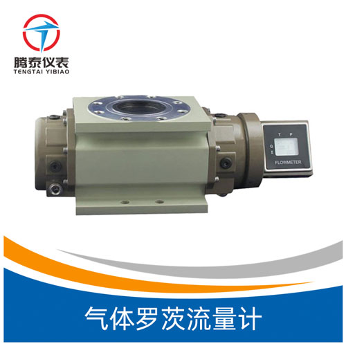 氣體羅茨流量計 氣體羅茨流量計
