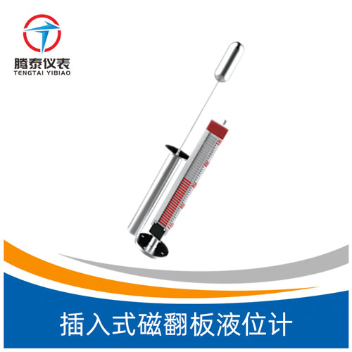 <b>插入式磁翻板液位計(jì)</b> <b>插入式磁翻板液位計(jì)</b>