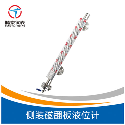 <b>側(cè)裝磁翻板液位計(jì)</b> <b>側(cè)裝磁翻板液位計(jì)</b>