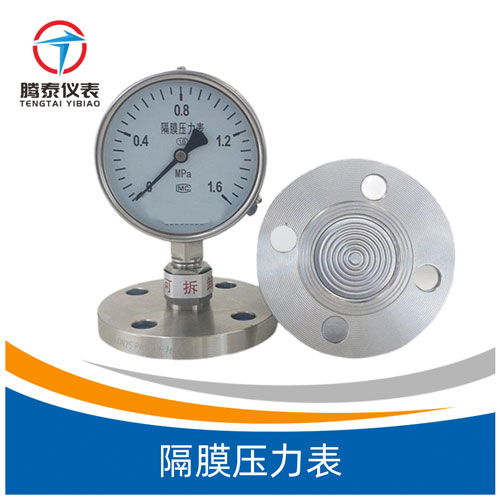 隔膜壓力表 隔膜壓力表