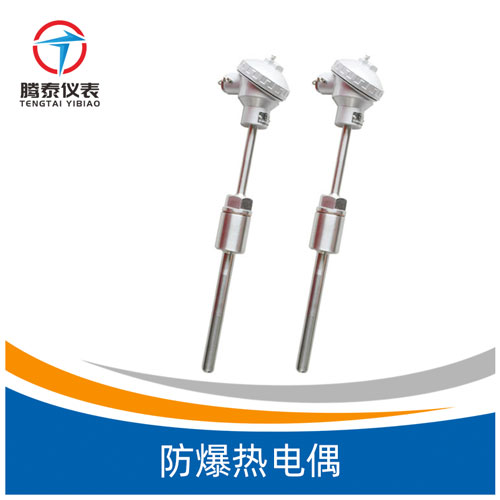 防爆熱電偶 防爆熱電偶